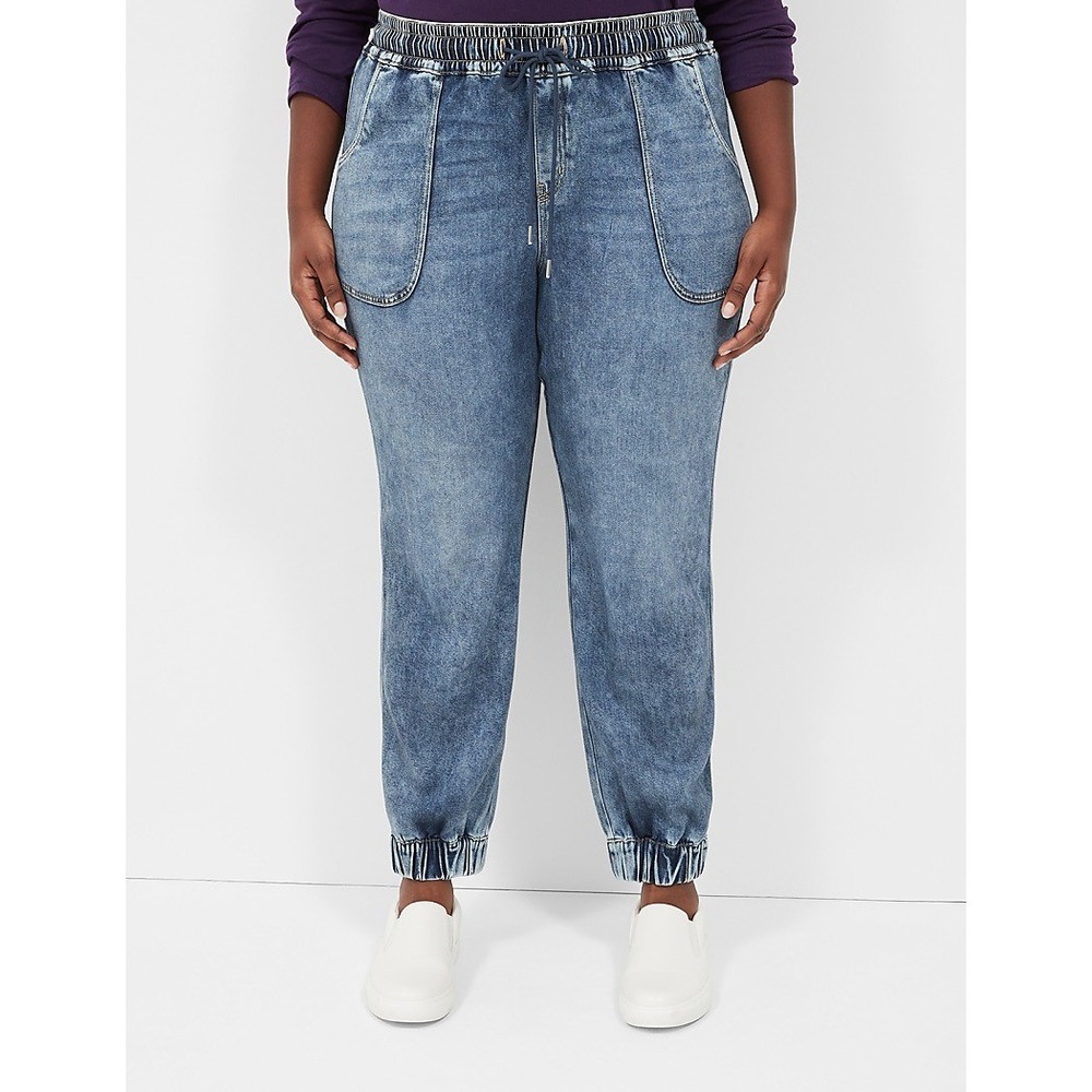 Lane Bryant Blue Denim Pull On Elastic Waist Casual Boyfriend Jogger Pant Sz 22S